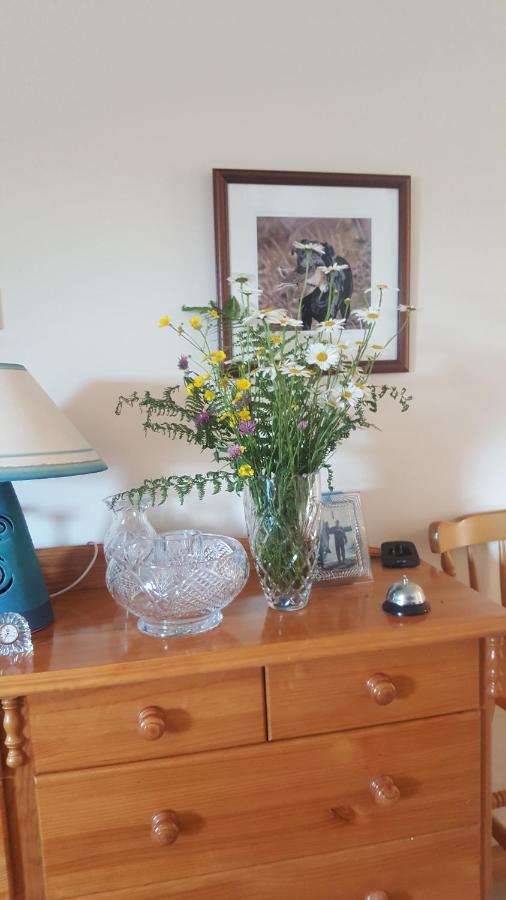 Corrib View Lodge Glencorrib  エクステリア 写真
